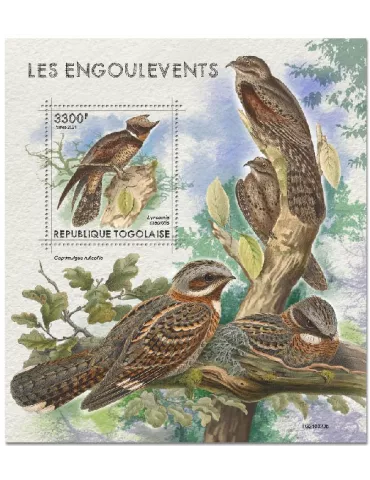 n° 2172 - Timbre TOGO Blocs et feuillets