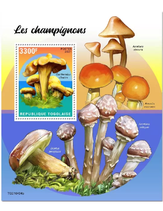 n° 2211 - Timbre TOGO Blocs et feuillets