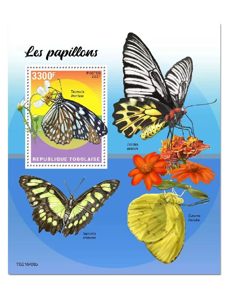 n° 2213 - Timbre TOGO Blocs et feuillets