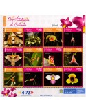n° 2550/2561 - Timbre COLOMBIE Poste