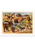 n° 7994/7995 - Timbre SAINT-THOMAS ET PRINCE Poste