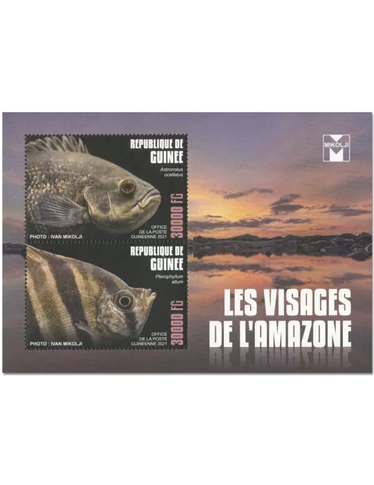 n° 10878/10879 - Timbre GUINEE Poste