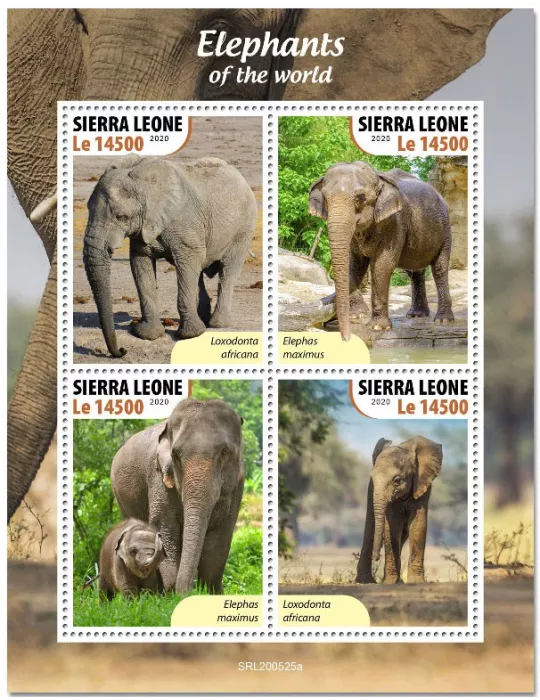 n° 10279/10282 - Timbre SIERRA LEONE Poste