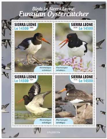 n° 10311/10314 - Timbre SIERRA LEONE Poste