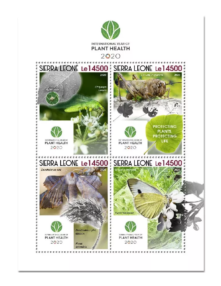 n° 10399/10402 - Timbre SIERRA LEONE Poste