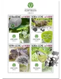 n° 10399/10402 - Timbre SIERRA LEONE Poste
