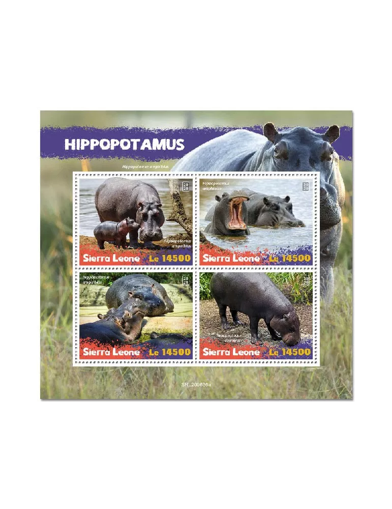 n° 10523/10526 - Timbre SIERRA LEONE Poste