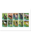 n° 9953/9962 - Timbre SIERRA LEONE Poste