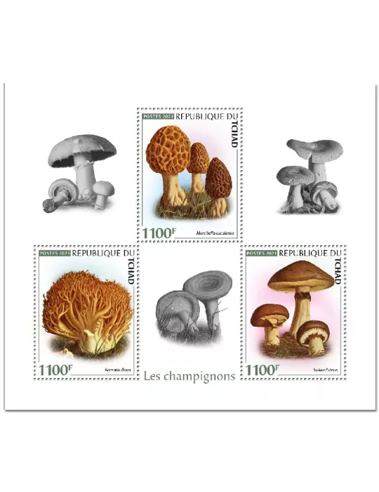 n° 3164/3166 - Timbre TCHAD Poste