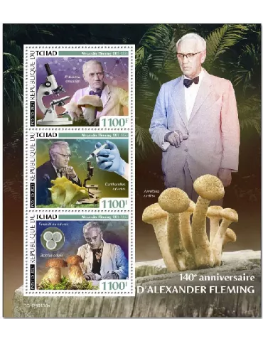 n° 3253/3255 - Timbre TCHAD Poste