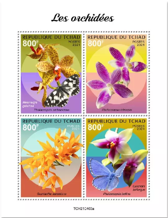 n° 3629/3632 - Timbre TCHAD Poste