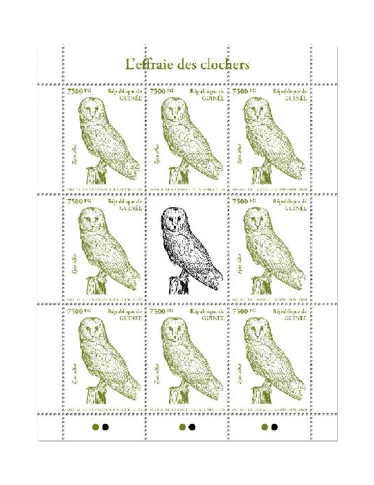 n° 10502 - Timbre GUINEE Poste