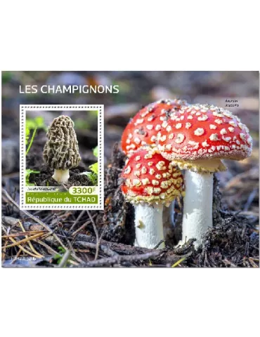 n° 334 - Timbre TCHAD Blocs et feuillets