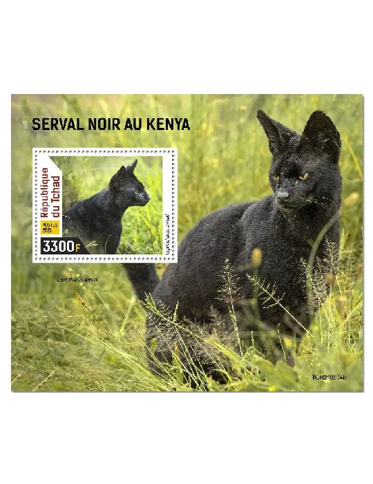 n° 587 - Timbre TCHAD Blocs et feuillets