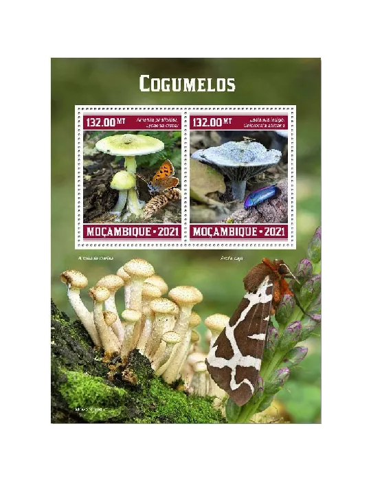 n° 9242/9243 - Timbre MOZAMBIQUE Poste