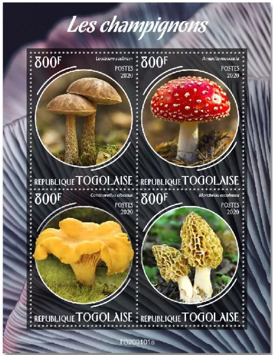 n° 7903/7906 - Timbre TOGO Poste