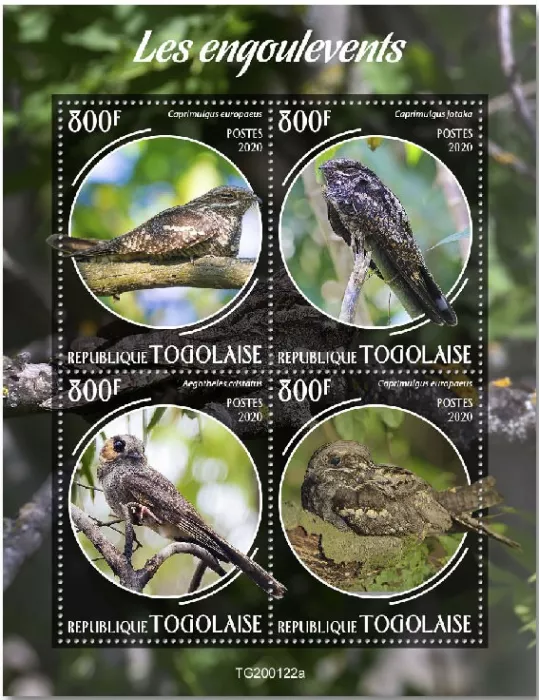 n° 7987/7990 - Timbre TOGO Poste