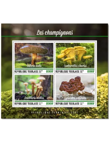 n° 8425/8428 - Timbre TOGO Poste