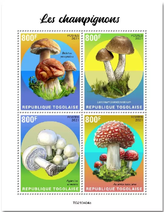 n° 9523/9526 - Timbre TOGO Poste