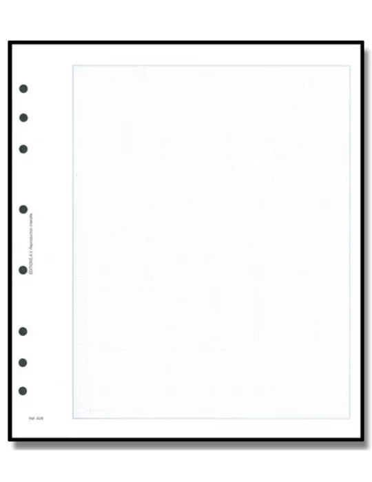 Feuille AV : quadrillée (x10) - AV EDITIONS®
