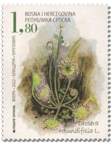 n° 799/800 - Timbre REPUBLIQUE SERBE (DE BOSNIE) Poste 2