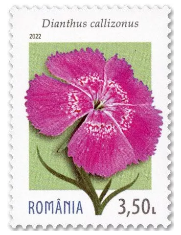 n° 6912/6915 - Timbre ROUMANIE Poste