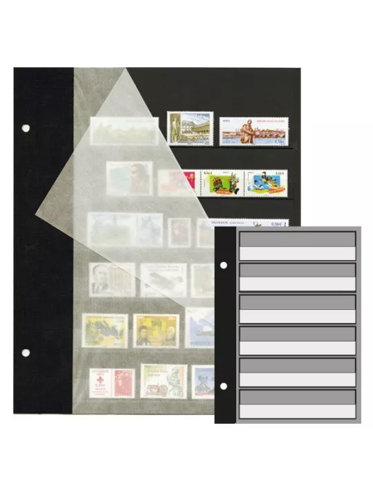 Recharges FUTURA : C50 (x5)