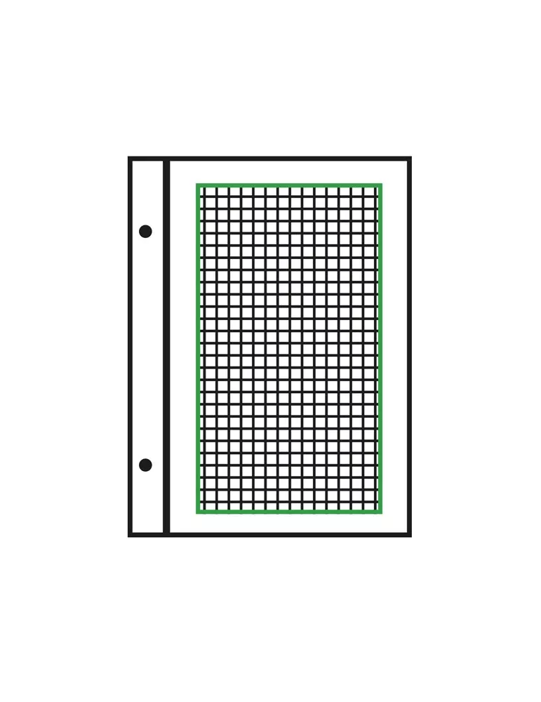 Feuilles à personnaliser FO : pages quadrillées (x50)