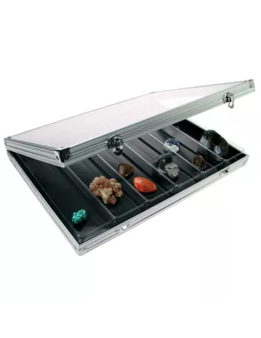 VITRINE ALU : 6 CASES (257 x 57 x 40 mm) - SAFE®