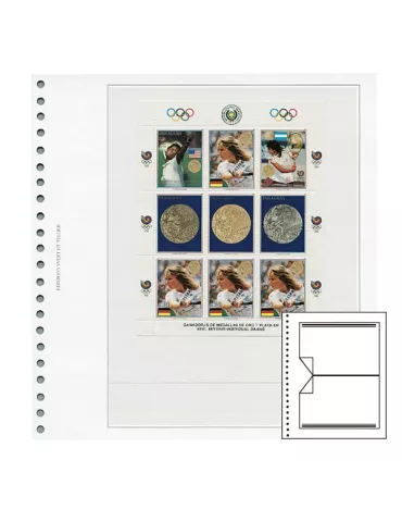 Recharges Simples Régent-Supra : 1 poche