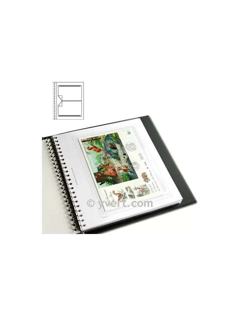 Recharges Simples Régent-Supra : 1 poche