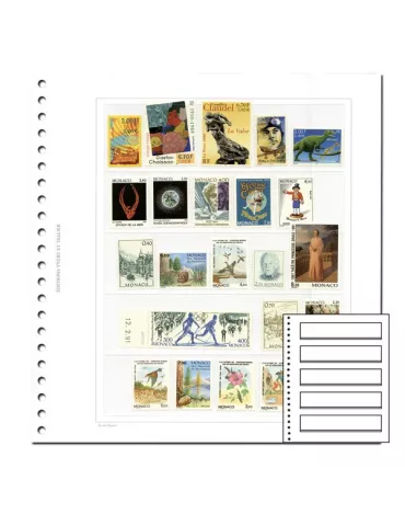 Recharges Simples Régent-Supra : 5 bandes