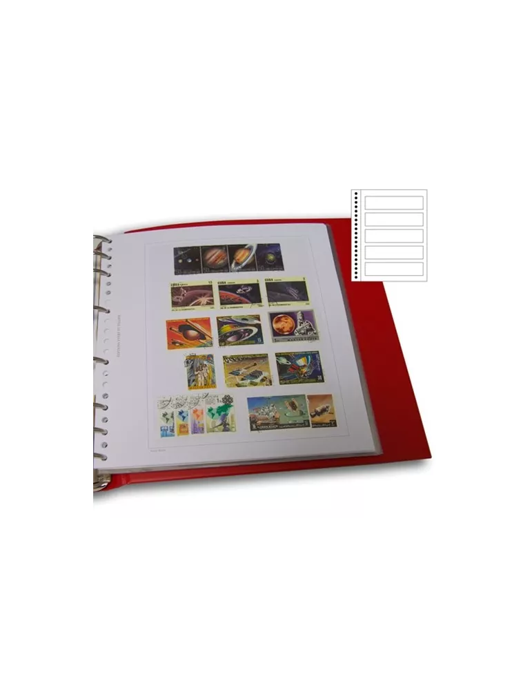 Recharges Simples Régent-Supra : 5 bandes