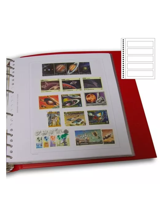 Recharges Simples Régent-Supra : 5 bandes