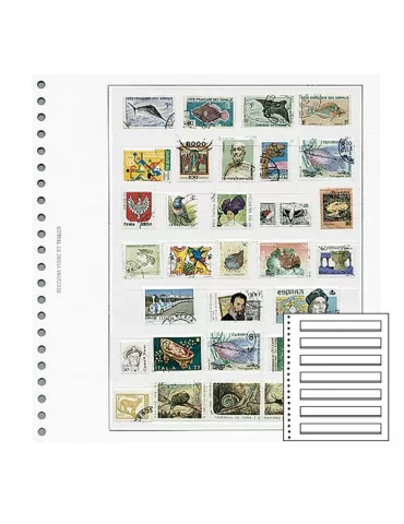 Recharges Simples Régent-Supra : 7 bandes