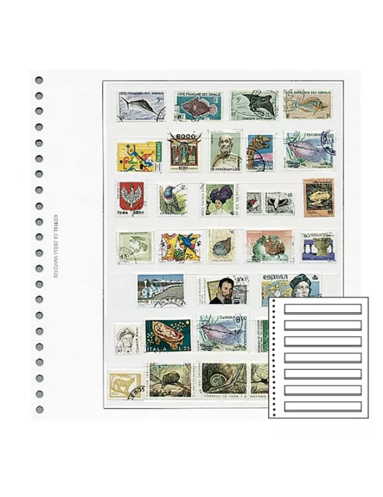 Recharges Simples Régent-Supra : 7 bandes