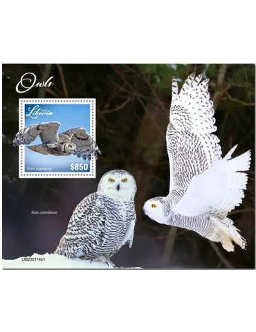 n° 990 - Timbre LIBERIA Blocs et feuillets