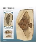n° 1961 - Timbre CENTRAFRIQUE Blocs et feuillets