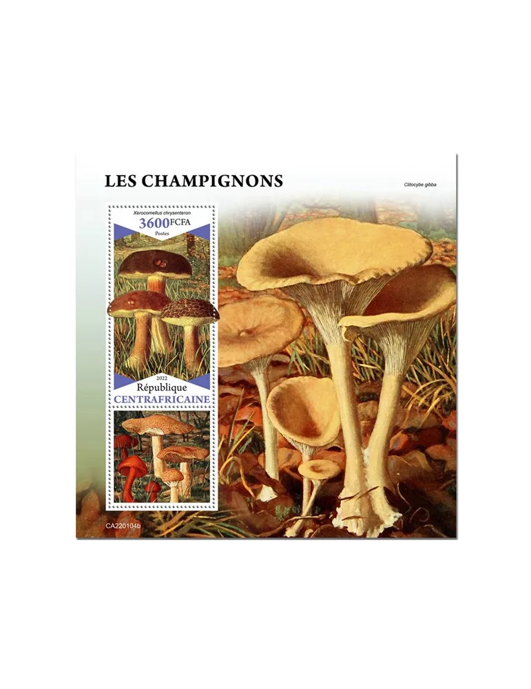 n° 1962 - Timbre CENTRAFRIQUE Blocs et feuillets