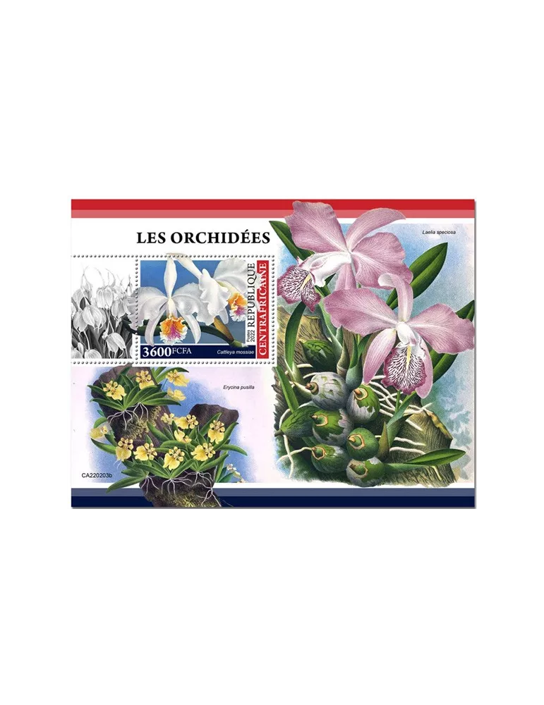 n° 2003 - Timbre CENTRAFRIQUE Blocs et feuillets