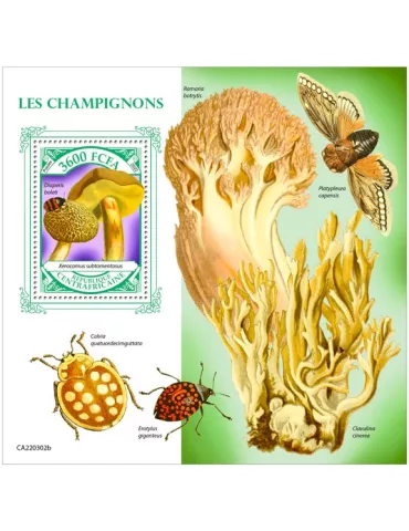 n° 2041 - Timbre CENTRAFRIQUE Blocs et feuillets