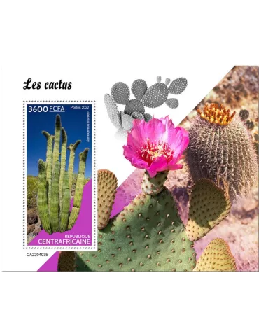 n° 2080 - Timbre CENTRAFRIQUE Blocs et feuillets