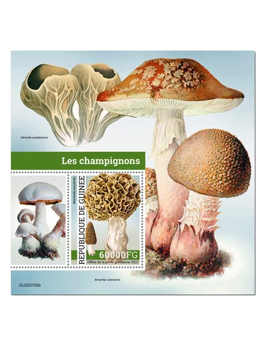 n° 2831 - Timbre GUINÉE Blocs et feuillets