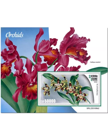 n° 2098 - Timbre SIERRA LEONE Blocs et feuillets