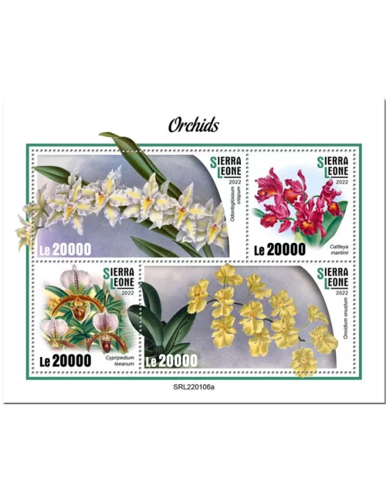 n° 10617/10620 - Timbre SIERRA LEONE Poste