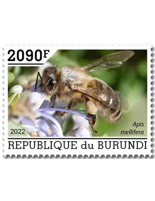 n° 2624/2628 - Timbre BURUNDI Poste