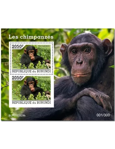 n° 446 - Timbre BURUNDI Blocs et feuillets