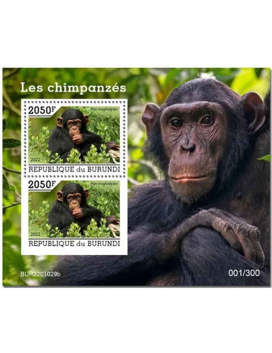 n° 446 - Timbre BURUNDI Blocs et feuillets