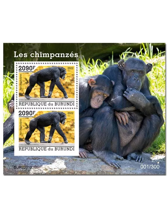 n° 447 - Timbre BURUNDI Blocs et feuillets