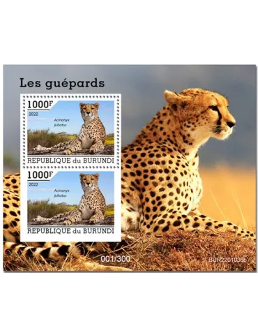 n° 453 - Timbre BURUNDI Blocs et feuillets